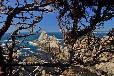 Rugged Coast