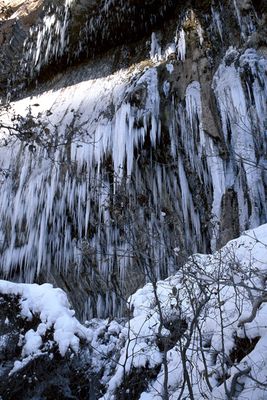 Frozen Weeping Rock