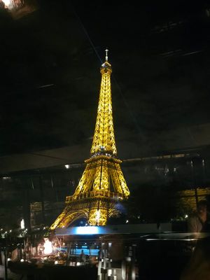 20250504_224816.jpg