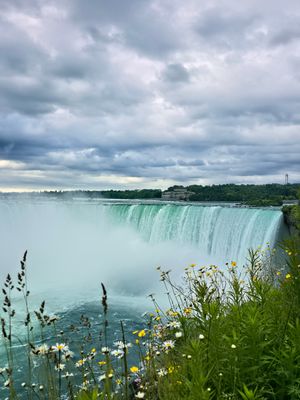 20250619_082206.jpg