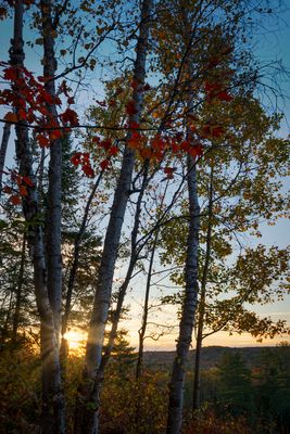 _A7R0662.jpg