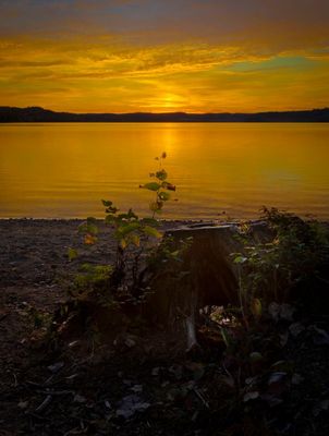 _A7R0782.jpg