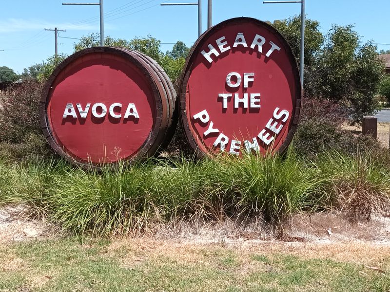 Avoca