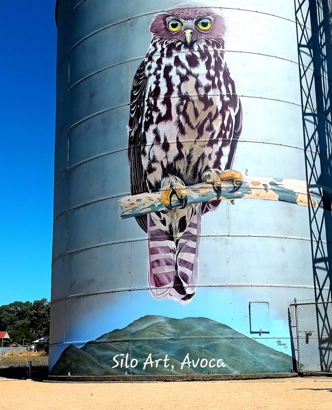 Avoca Silo Art