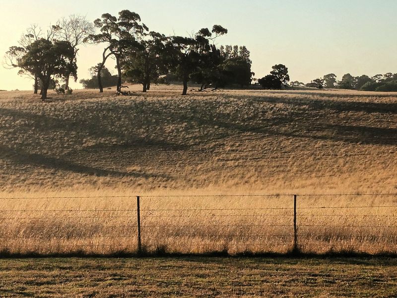 Mount Gambier