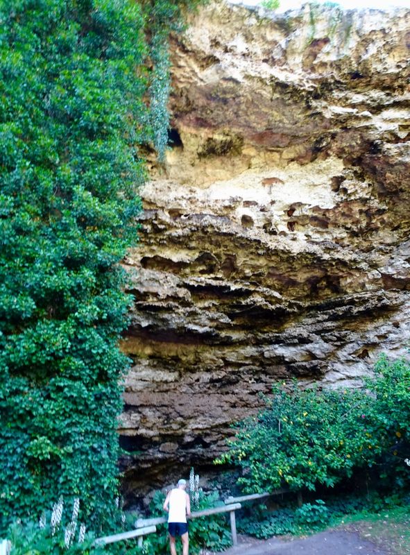Umpherston Sinkhole in Mount Gambier