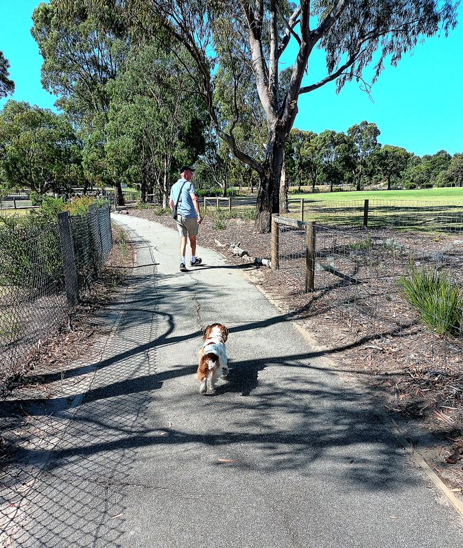 Our Local Park