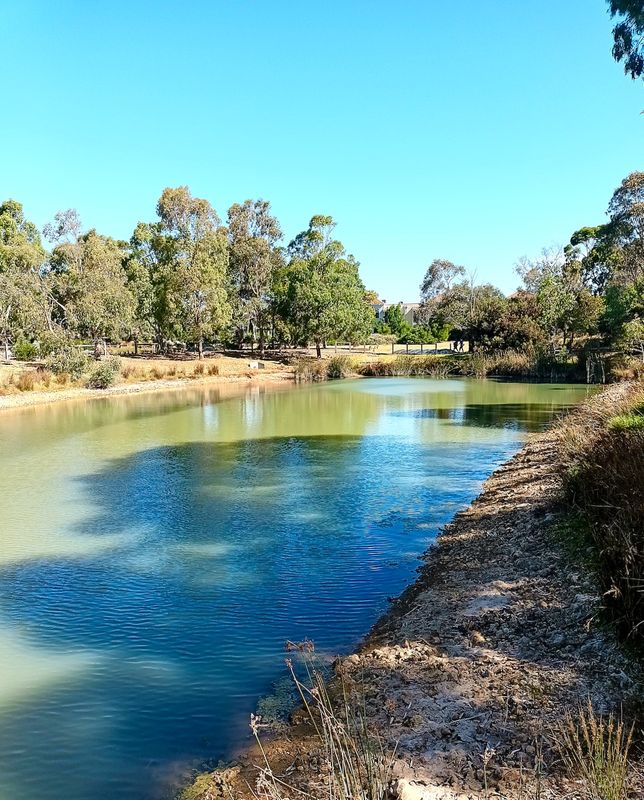 Our Local Park