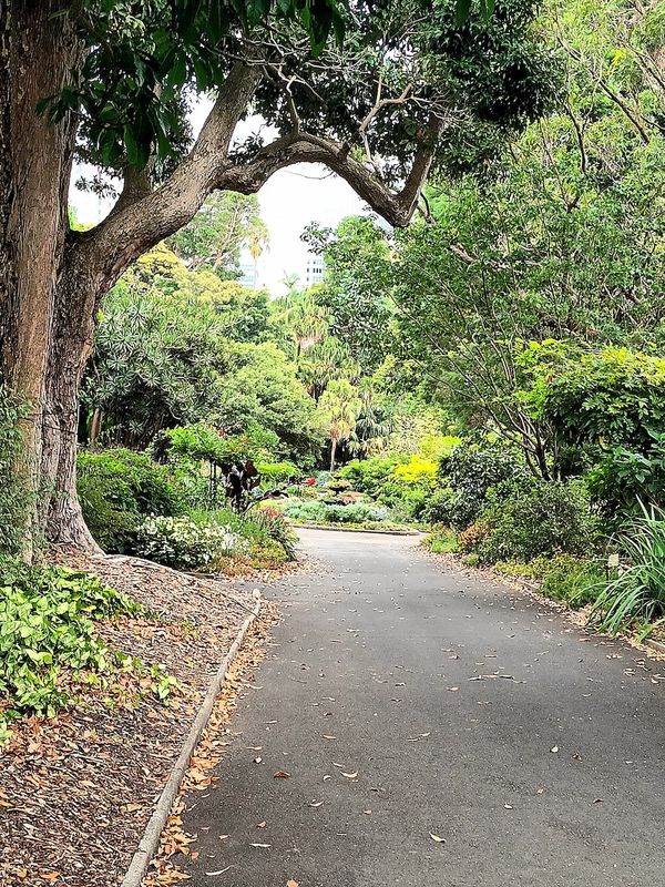 New South Wales Royal Botanical Gardens    2023