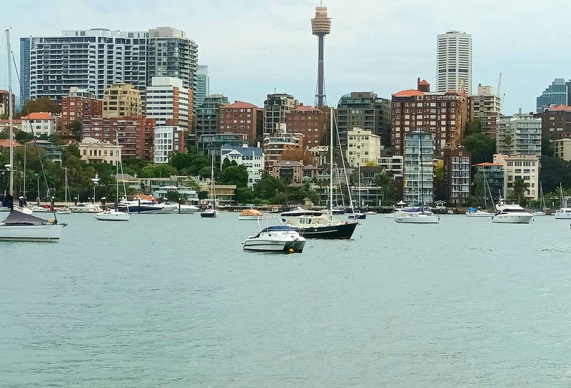 Rushcutters Bay  2023