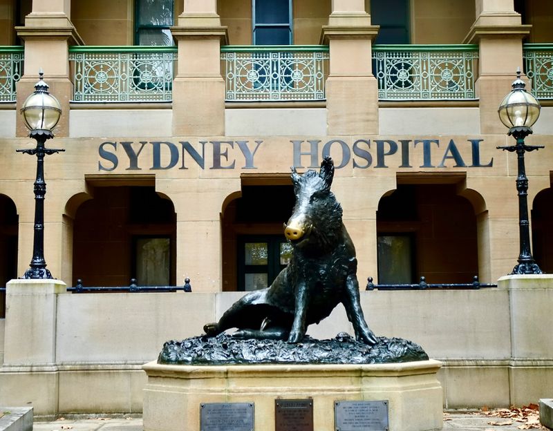 Sydney Hospital  2023