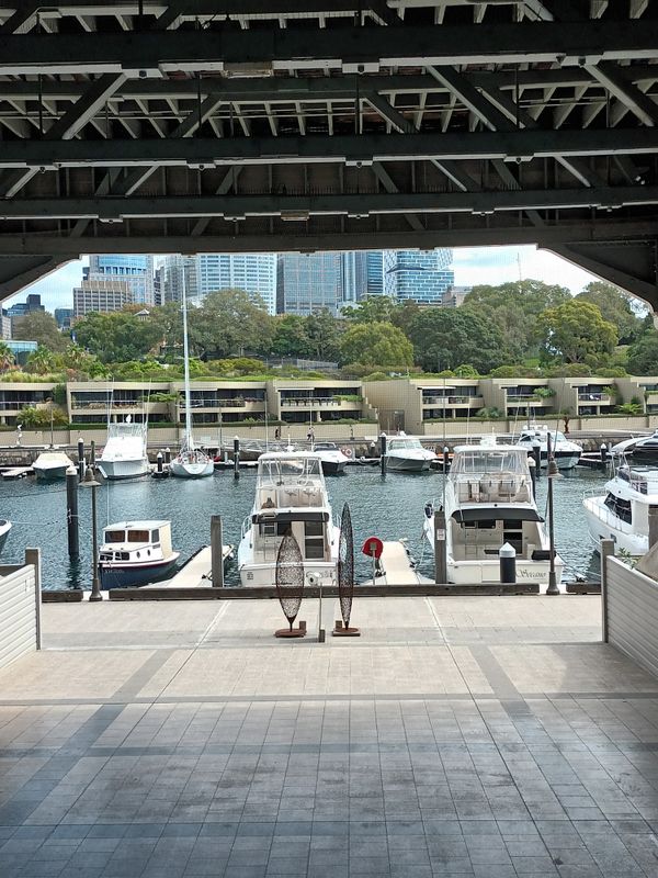 View of Marina from inside the Finger Wharf  2023