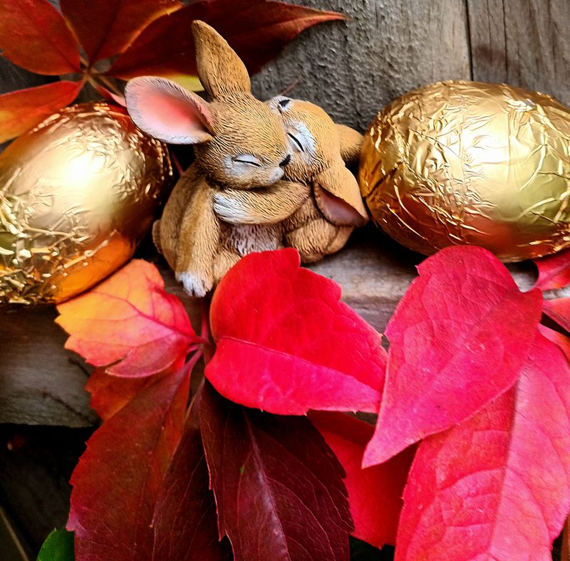 An Easter surprise among the Virginia Creeper in its autumn colour.