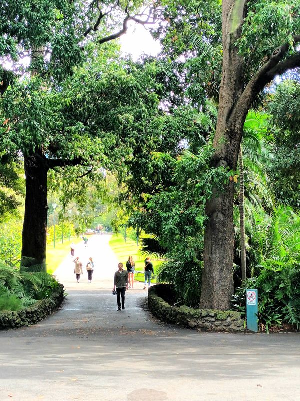 The Fitzroy Gardens, Melbourne