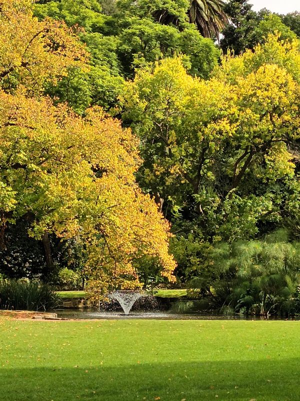 The Fitzroy Gardens, Melbourne