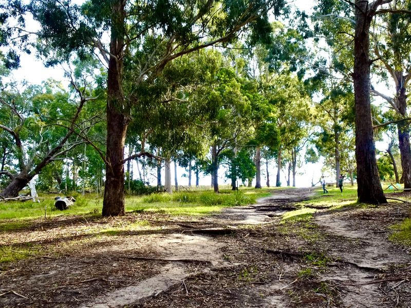 Wattle Park
