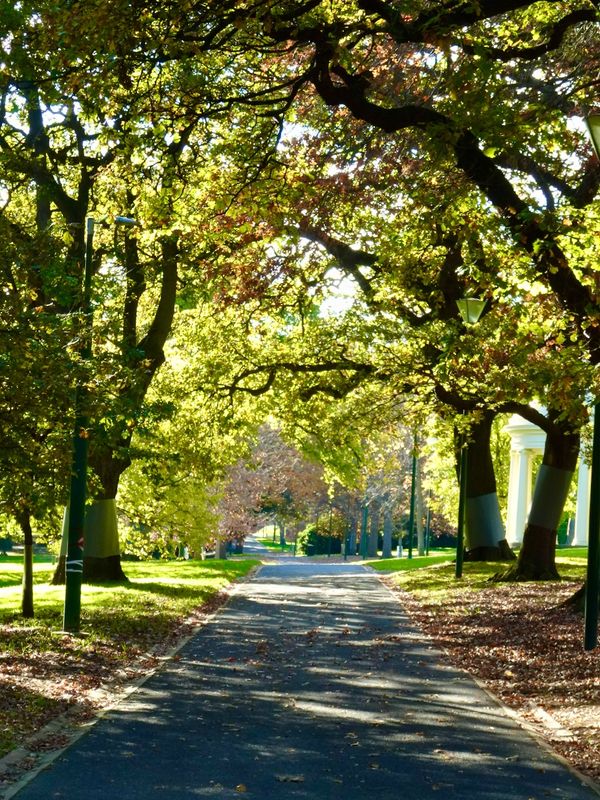 The Fitzroy Gardens, Melbourne
