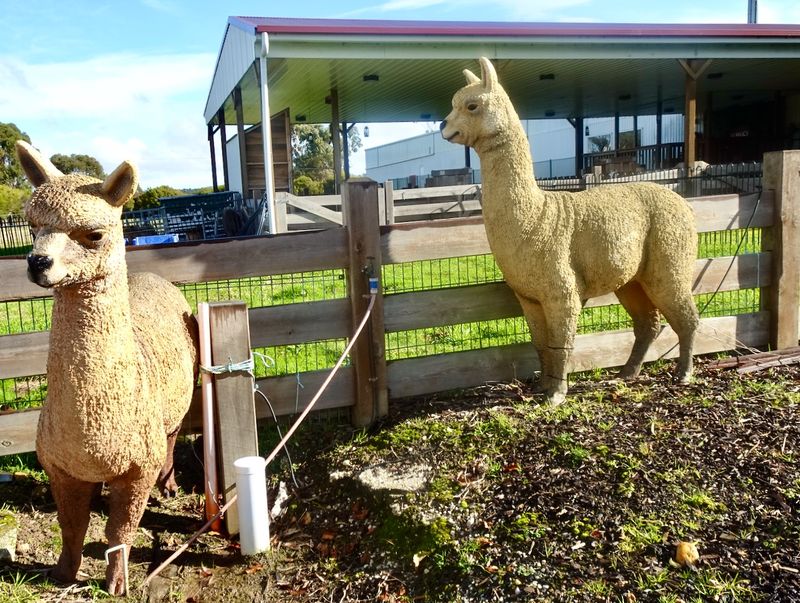 Creswick Woolen Mills 
