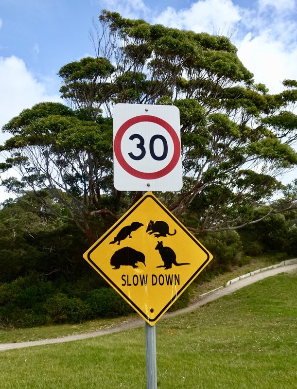 Beware, sign at entry to Point Nepean NP