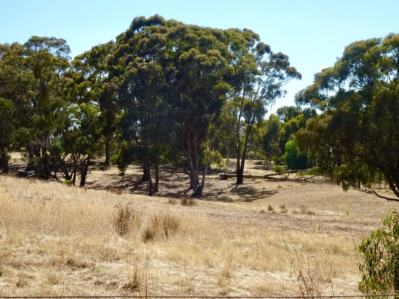 Summer country Guildford