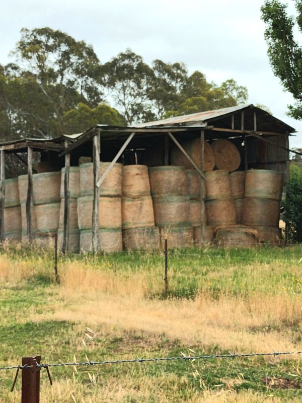 Summer hay bales