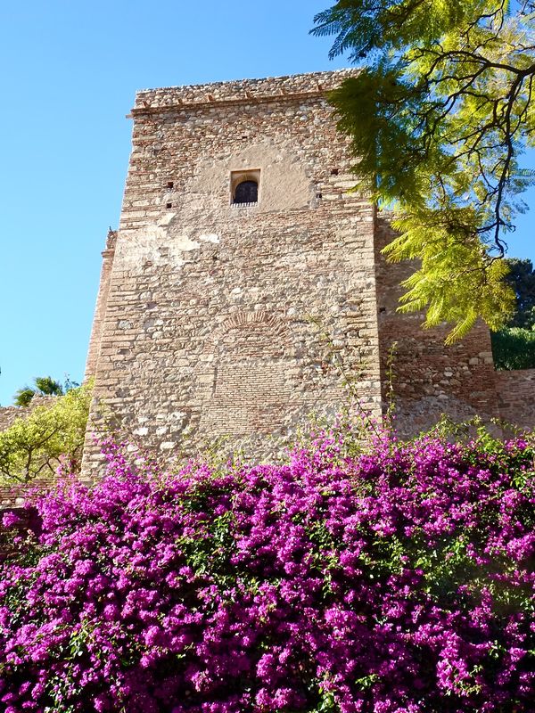 Ancient Wall of Alcazaba (14th C)
