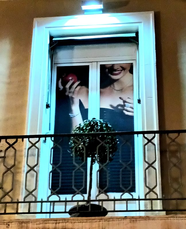 Window