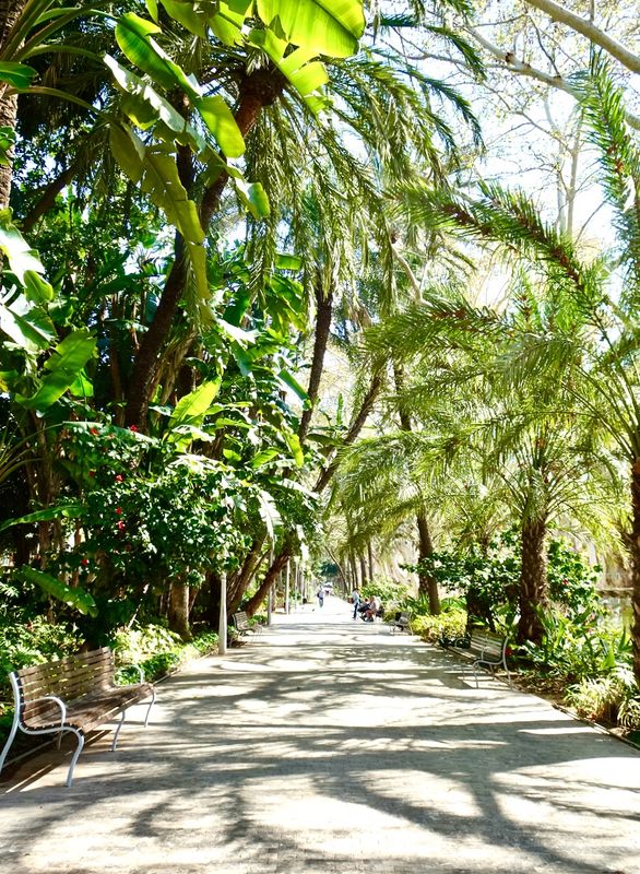 Foreshore Botanic Gardens walk