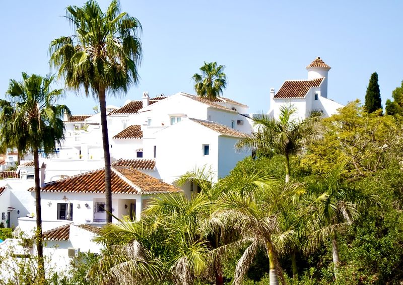 Houses along the coast