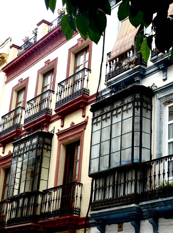 Seville windows 
