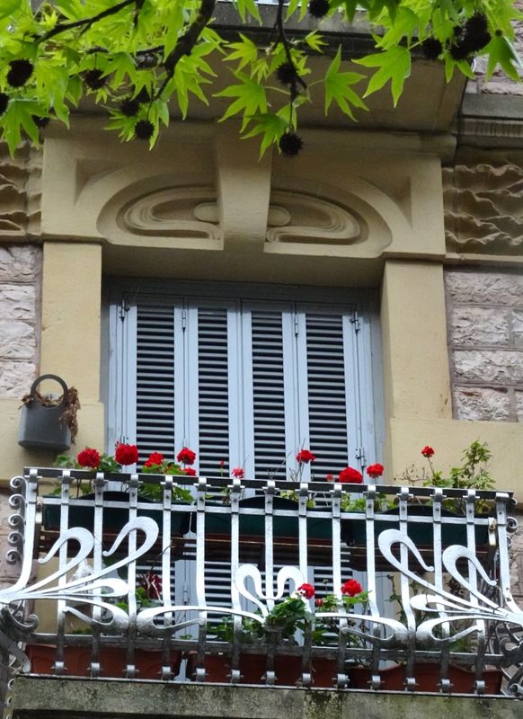 Window