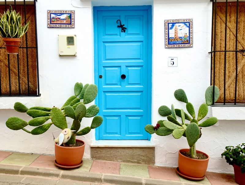 Cactus door