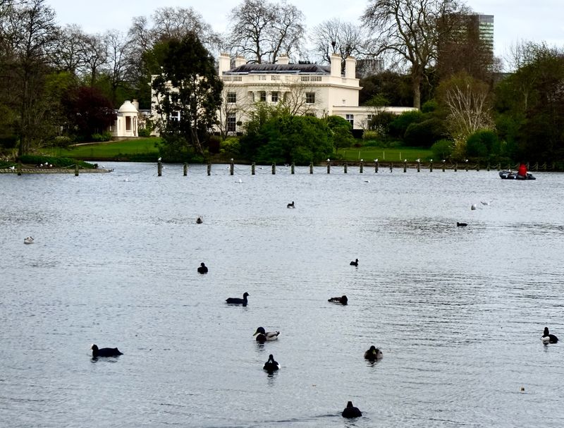  Regents Park Lake