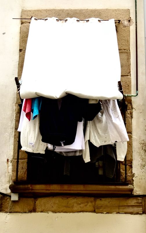 Window 