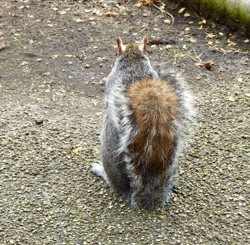 Bloomsbury, Tavistock Square