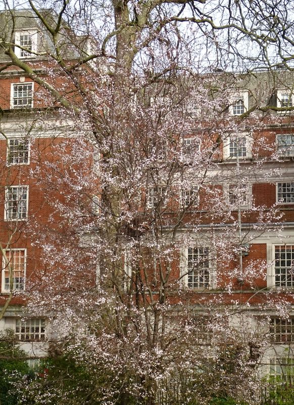 Bloomsbury, Tavistock Square