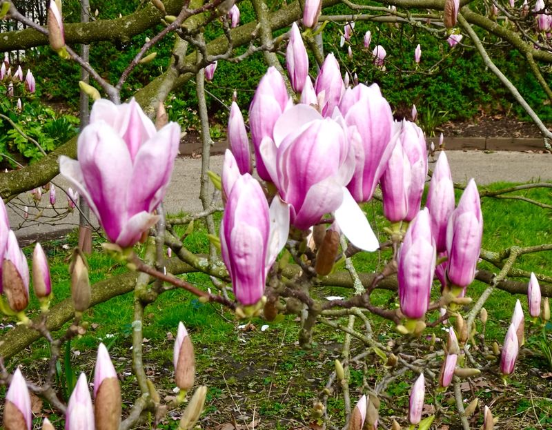 Bloomsbury, Tavistock Square