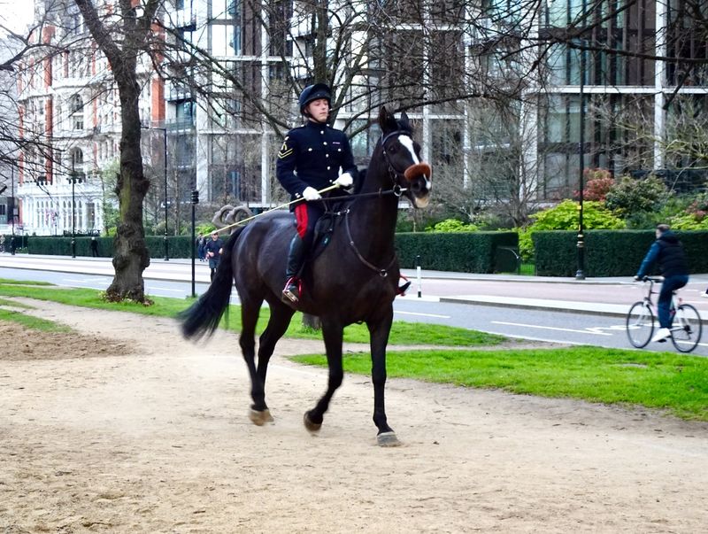 Rider on The Tan, around Hyde Park