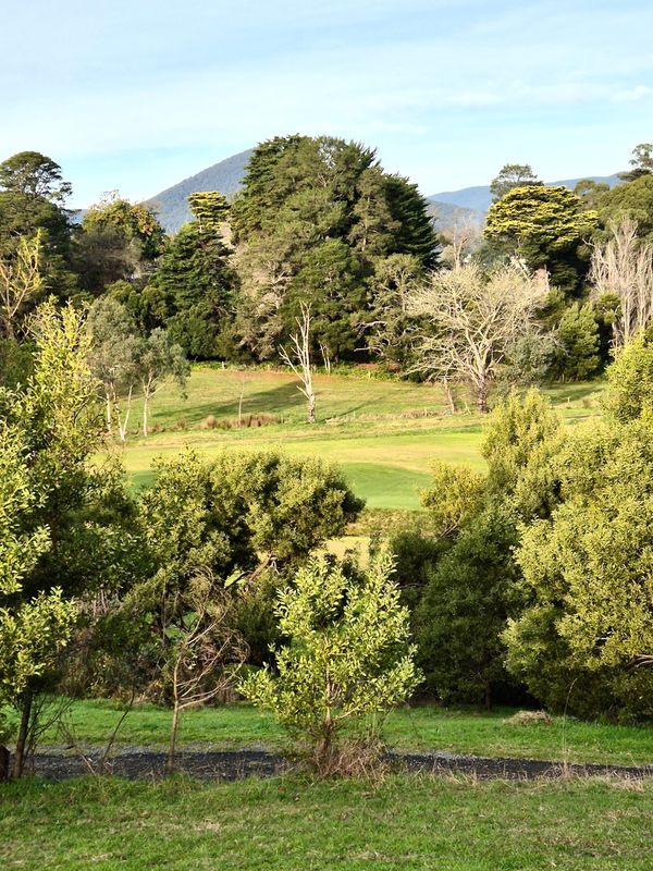Yarra Valley 2024