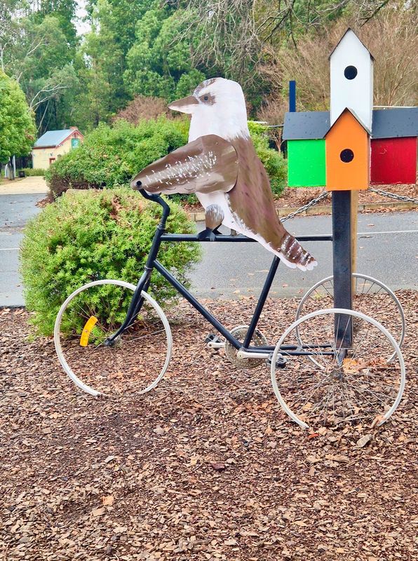 Marysville, 2024, kookaburra post