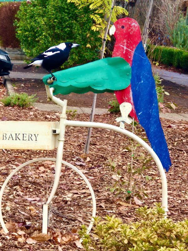 Marysville, 2024, parrot post