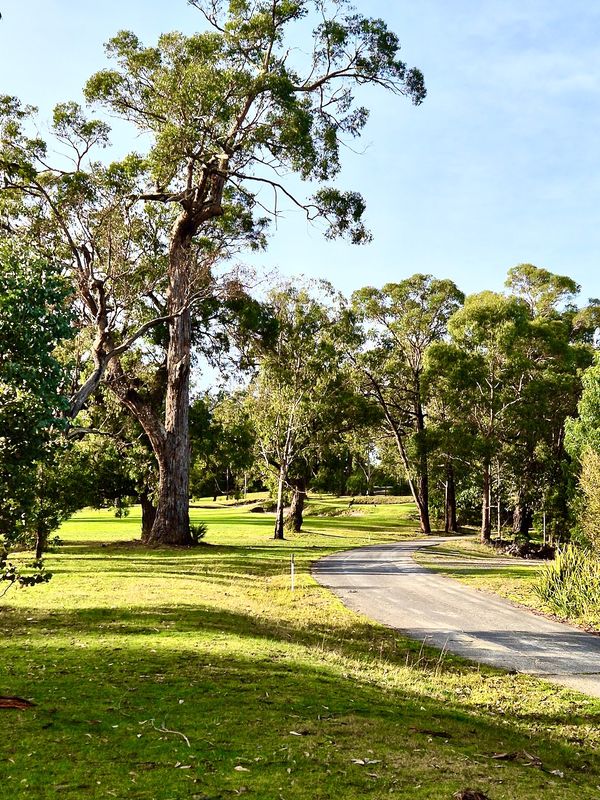 Yarra Valley 2024
