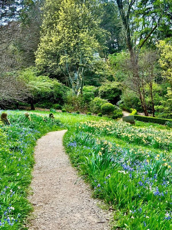 Cloudehill Gardens, Dandenong Ranges