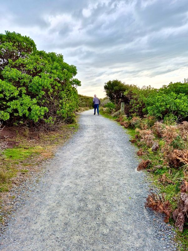 Discovering the views, Bunurong Coasal Drive