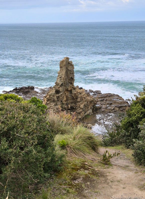 Early spring escape to South Gippsland, Victoria 2022, 2024