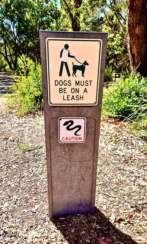 Blackburn Lake, outer Melbourne