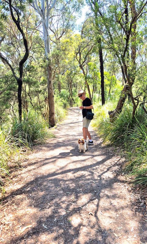 Blackburn Lake, outer Melbourne