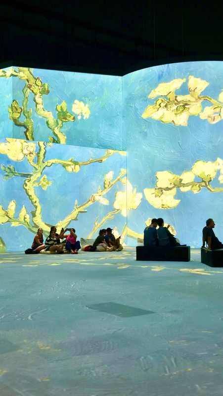Experiencing Van Gogh 