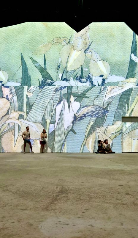 Experiencing Van Gogh