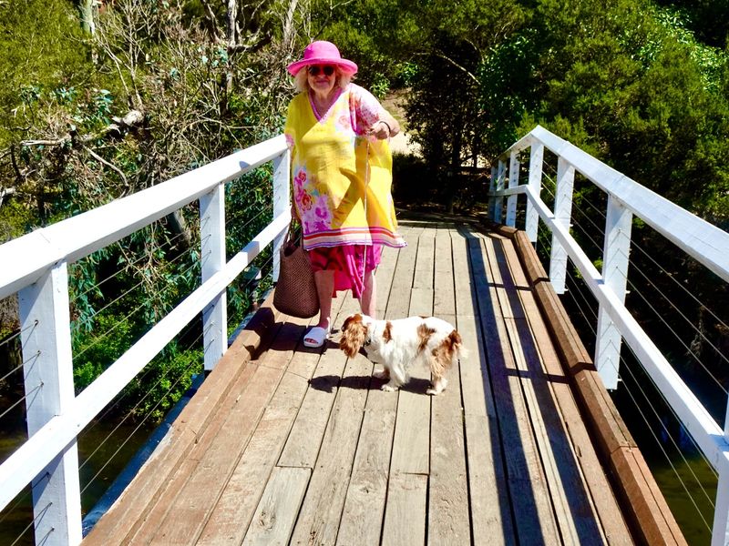 Footbridge across Kananook Creek, Frankson